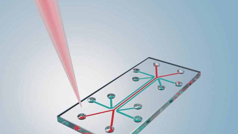 Simulation in der Mikrofluidik