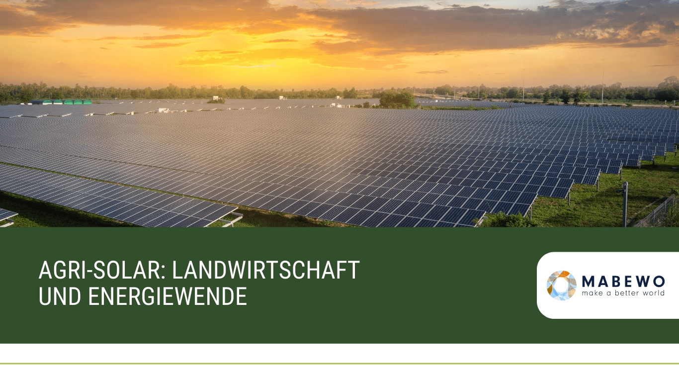 Agri-Solar: Landwirtschaft und Energiewende