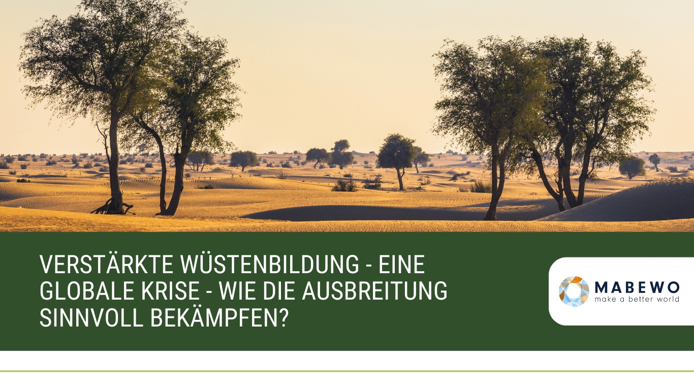 Verstärkte Wüstenbildung – eine globale Krise – wie die Ausbreitung sinnvoll bekämpfen?