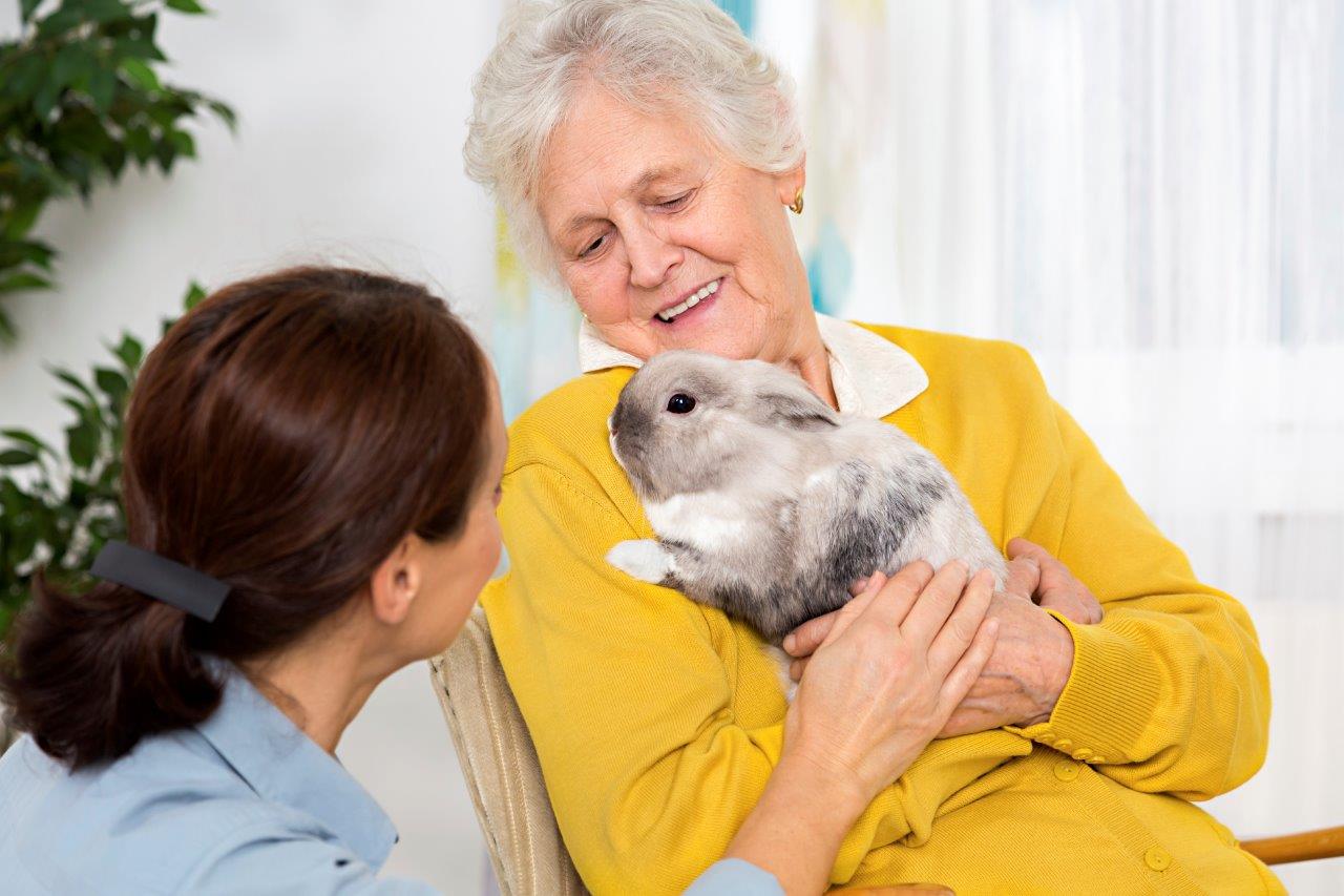 HELP zertifizierte Seniorenassistenten, sind wichtiger denn je!