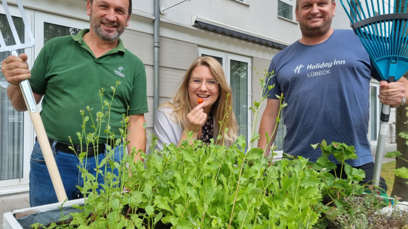 Das Holiday Inn Lübeck lässt grüne Vision für Lübeck wahr werden