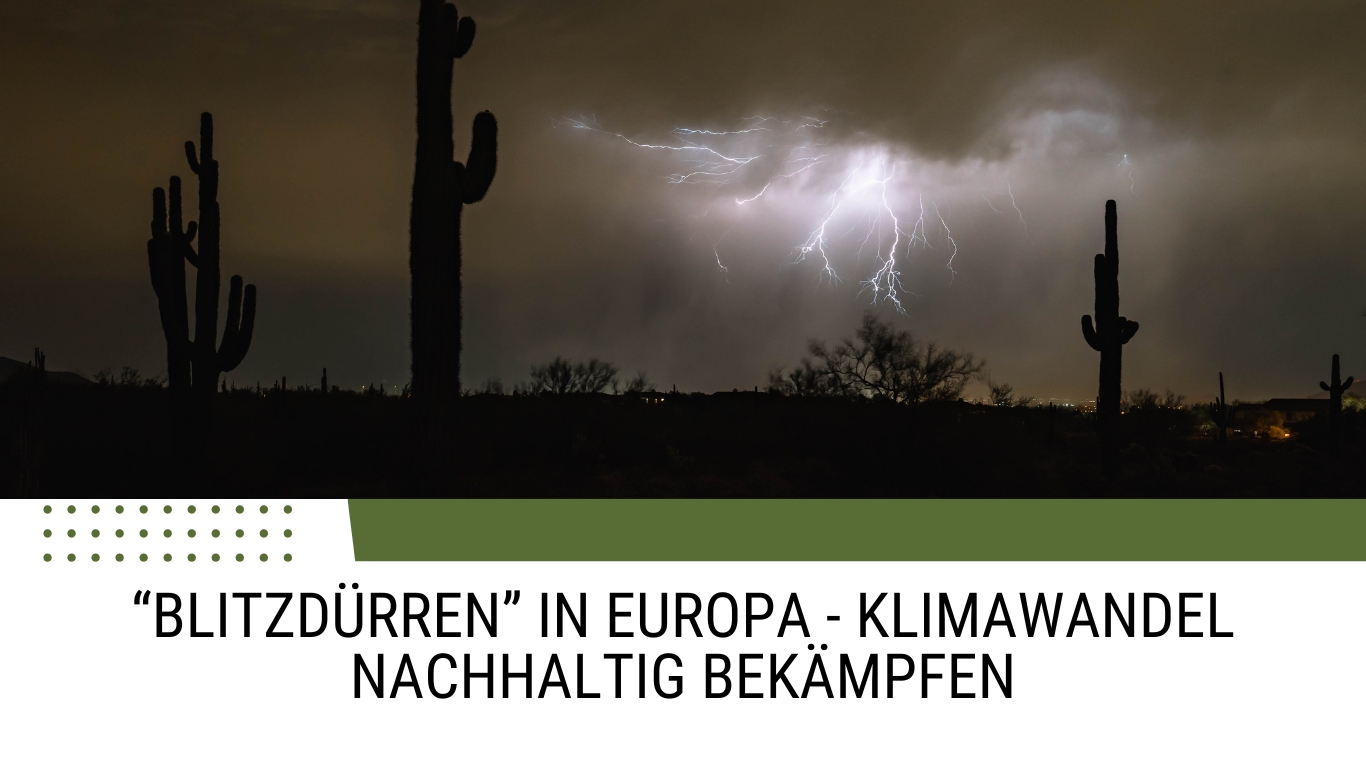 „Blitzdürren“ in Europa – Klimawandel nachhaltig bekämpfen