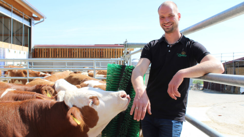 Knuspr setzt neue Maßstäbe und beendet Zusammenarbeit mit Milchmastkalb-Betrieben bei Frischfleisch