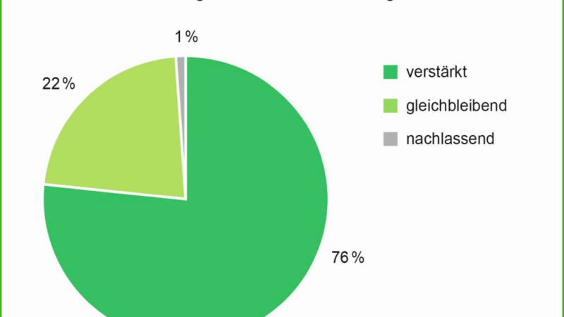 Regenwasser als Schlüsselelement der Zukunft