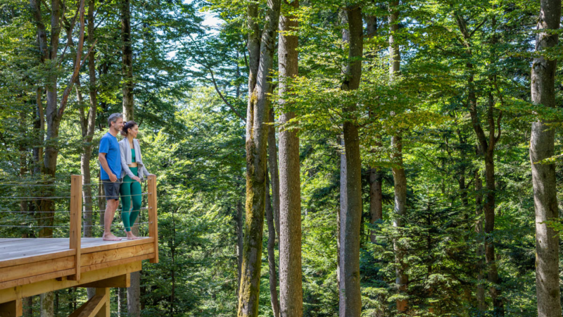 Einzigartiges WaldSpa auf 40.000 qm im Bayerischen Wald