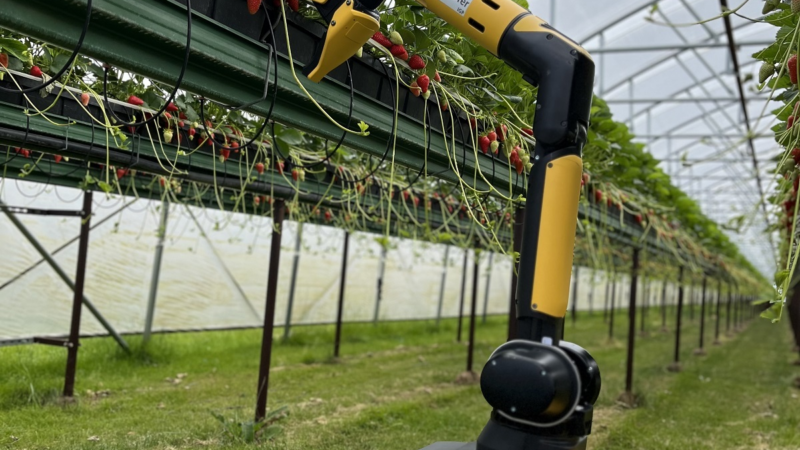 Fraunhofer-Initiative „Biogene Wertschöpfung und Smart Farming“ auf der MeLa 2023