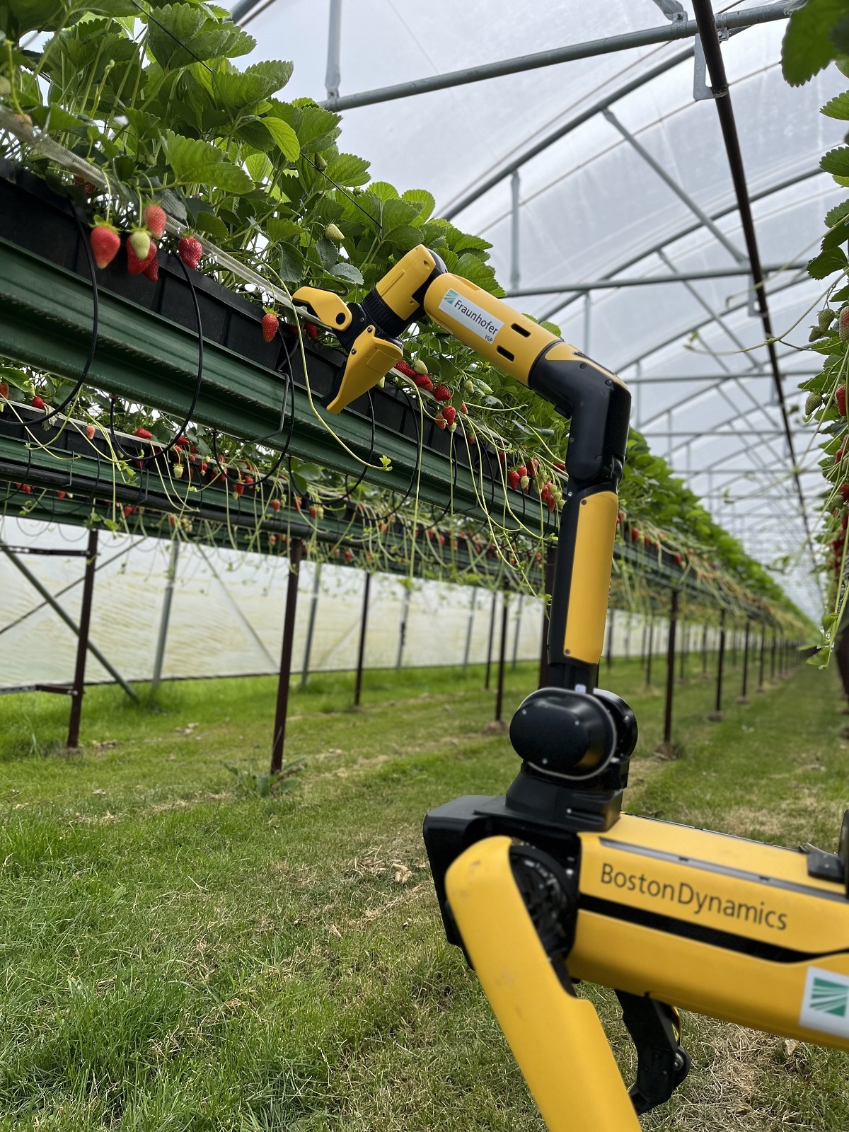 Fraunhofer-Initiative „Biogene Wertschöpfung und Smart Farming“ auf der MeLa 2023