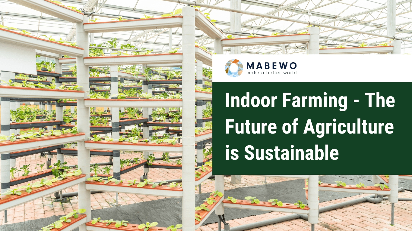 Indoor Farming – The Future of Agriculture is Sustainable