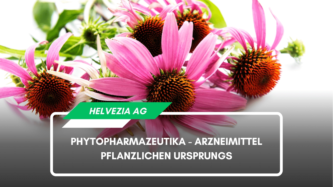 Phytopharmazeutika – Arzneimittel pflanzlichen Ursprungs