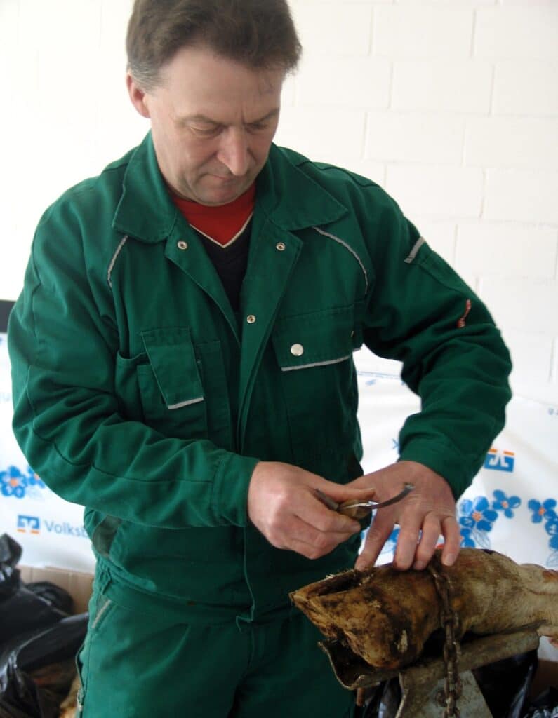 Die Klauen tragen die Milch – AVA-Klauenorthopädie &amp; Klauenpflegeworkshop für Tierärzte