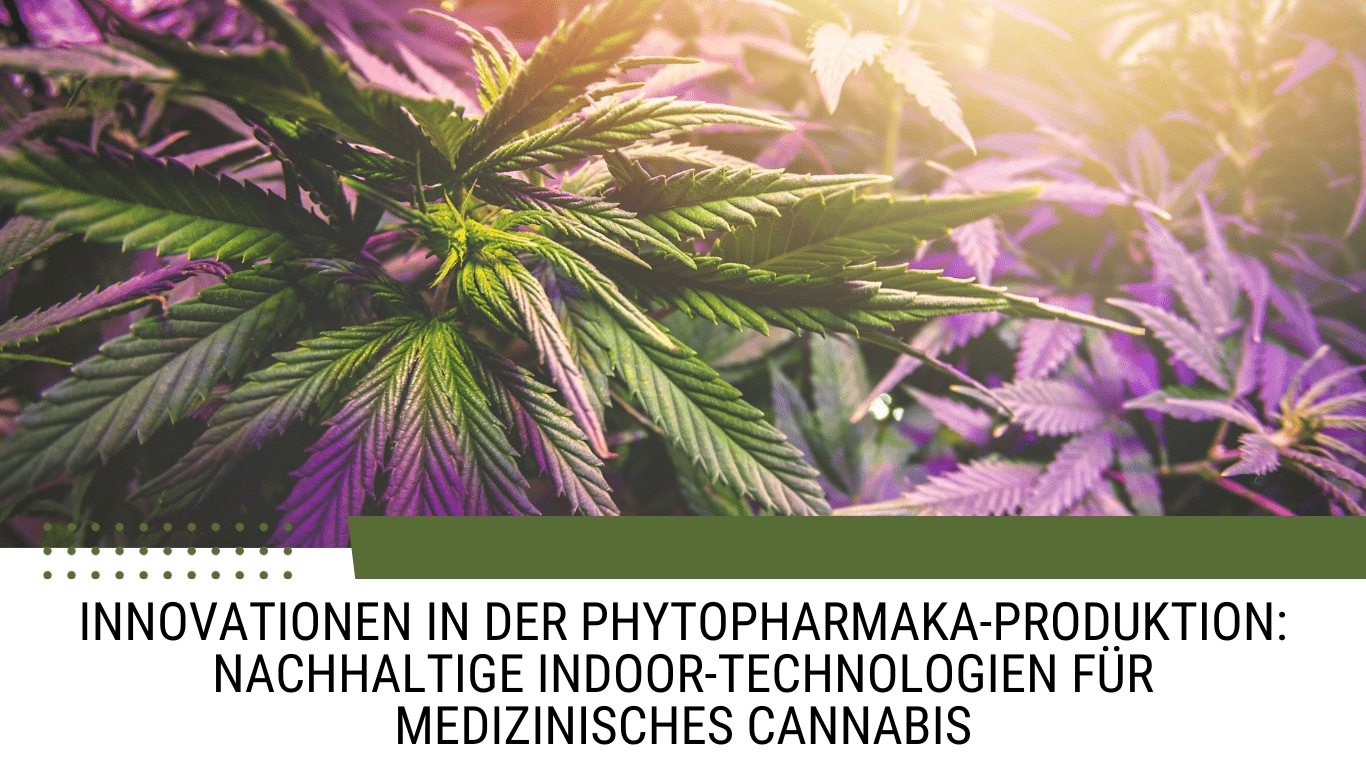 Innovationen in der Phytopharmaka-Produktion: Nachhaltige Indoor-Technologien für medizinisches Cannabis