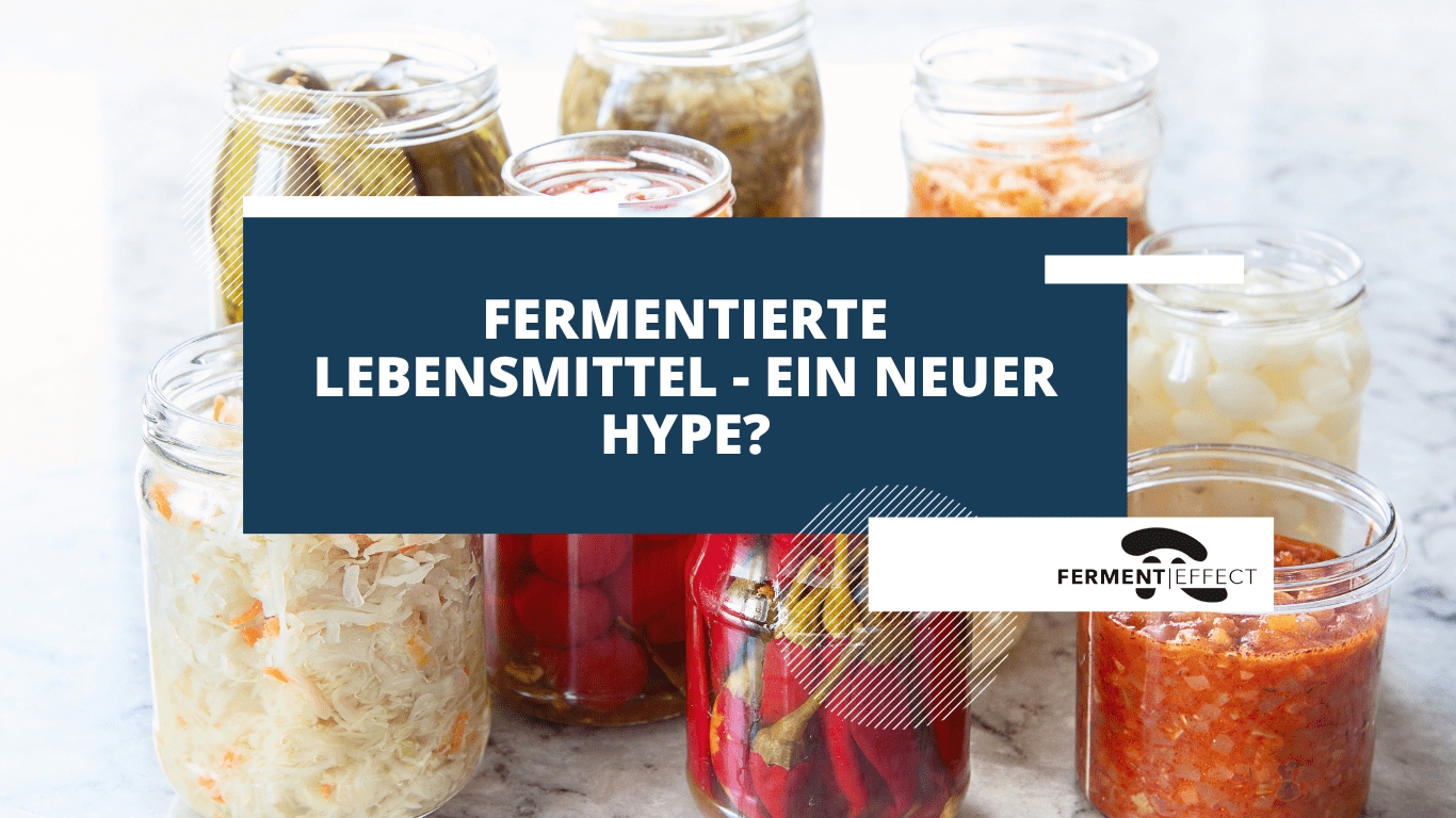 Fermentierte Lebensmittel – ein neuer Hype?