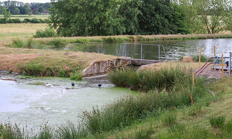 Gewässer von Schlamm und Schadstoffen befreien