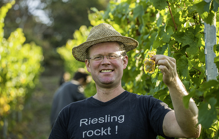 Weinlese im Wettlauf mit der Zeit