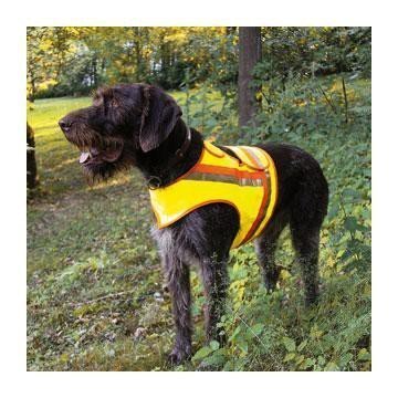 Hunde während der dunklen Winterzeit mit Reflektoren schützen