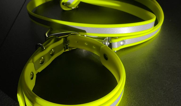 Beautytau bringt die Neon Hundehalsband-Collection. Eine Leuchtkraft, die ins Auge sticht