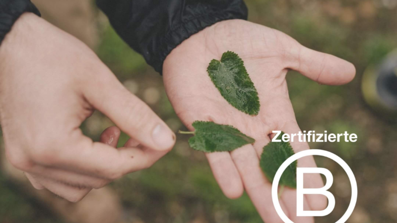 esentri AG als B Corp Unternehmen zertifiziert