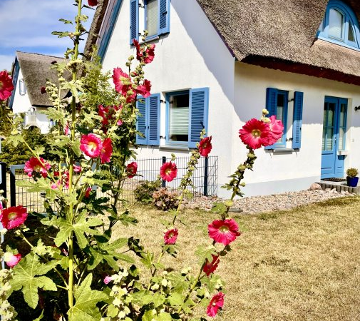 Immobilienmakler Insel Rügen über 1600 Immobilien verkauft !