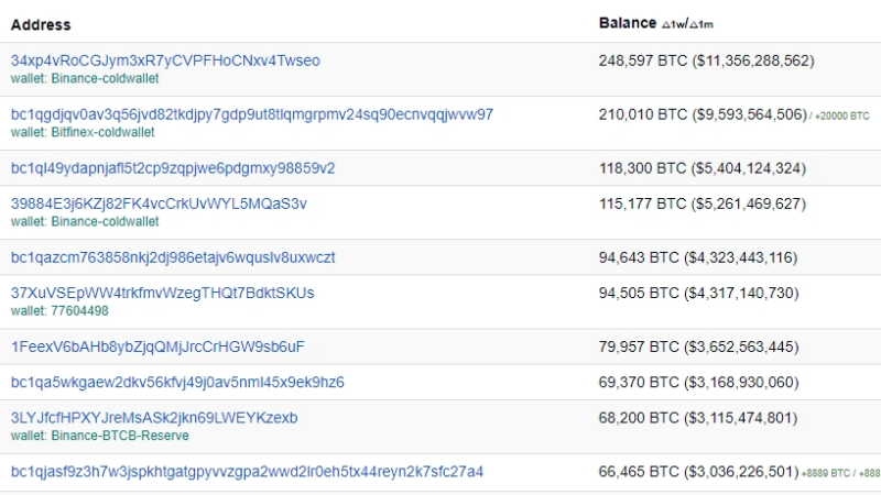 Top 10 der reichsten Bitcoin Wallets im Jahr 2024