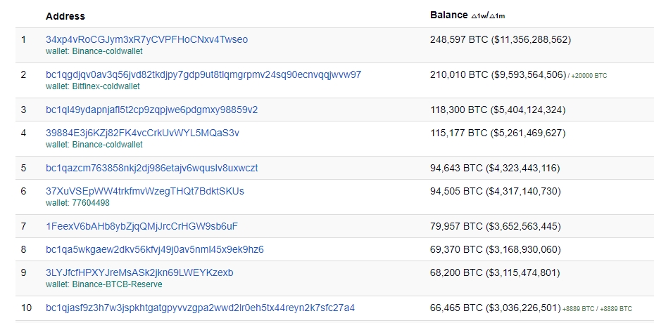 Top 10 der reichsten Bitcoin Wallets im Jahr 2024