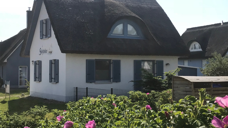 Was muss ein guter Immobilienmakler alles wissen ?