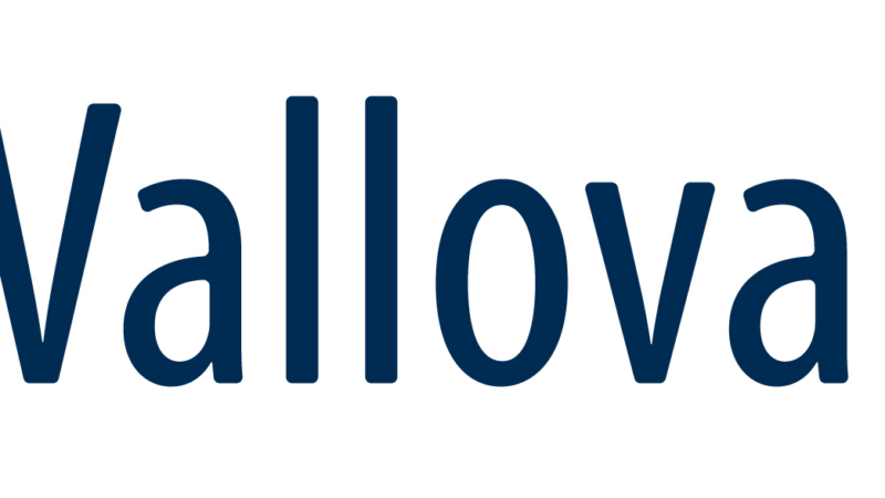 Vallovapor GmbH stellt innovatives Instandhaltungskonzept für Schimmelbeseitigung in Mietwohnungen vor: Mauerwerkstrocknung mit dem ValloDry-Verfahren
