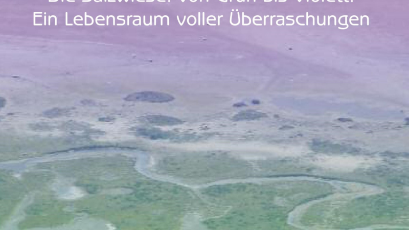 Sylke Barkmann: Salz. Wiese. Watt – Lebensraum voller Überraschungen