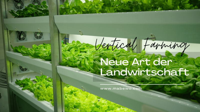 Das Vertical Farming als neue Art der Landwirtschaft