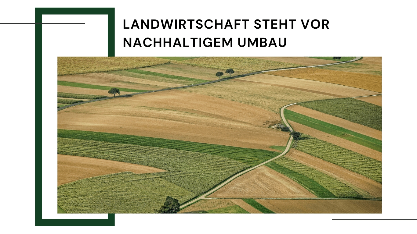 Agrarsektor im Wandel: Nachhaltige Transformation für eine widerstandsfähige Zukunft der Landwirtschaft