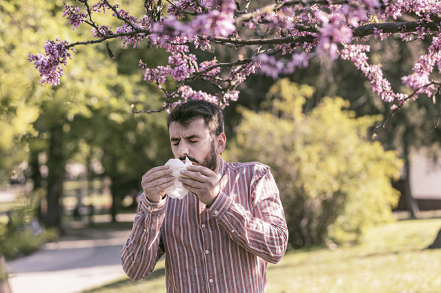 Frühling ist Heuschnupfenzeit – Verbraucherinformation der DKV