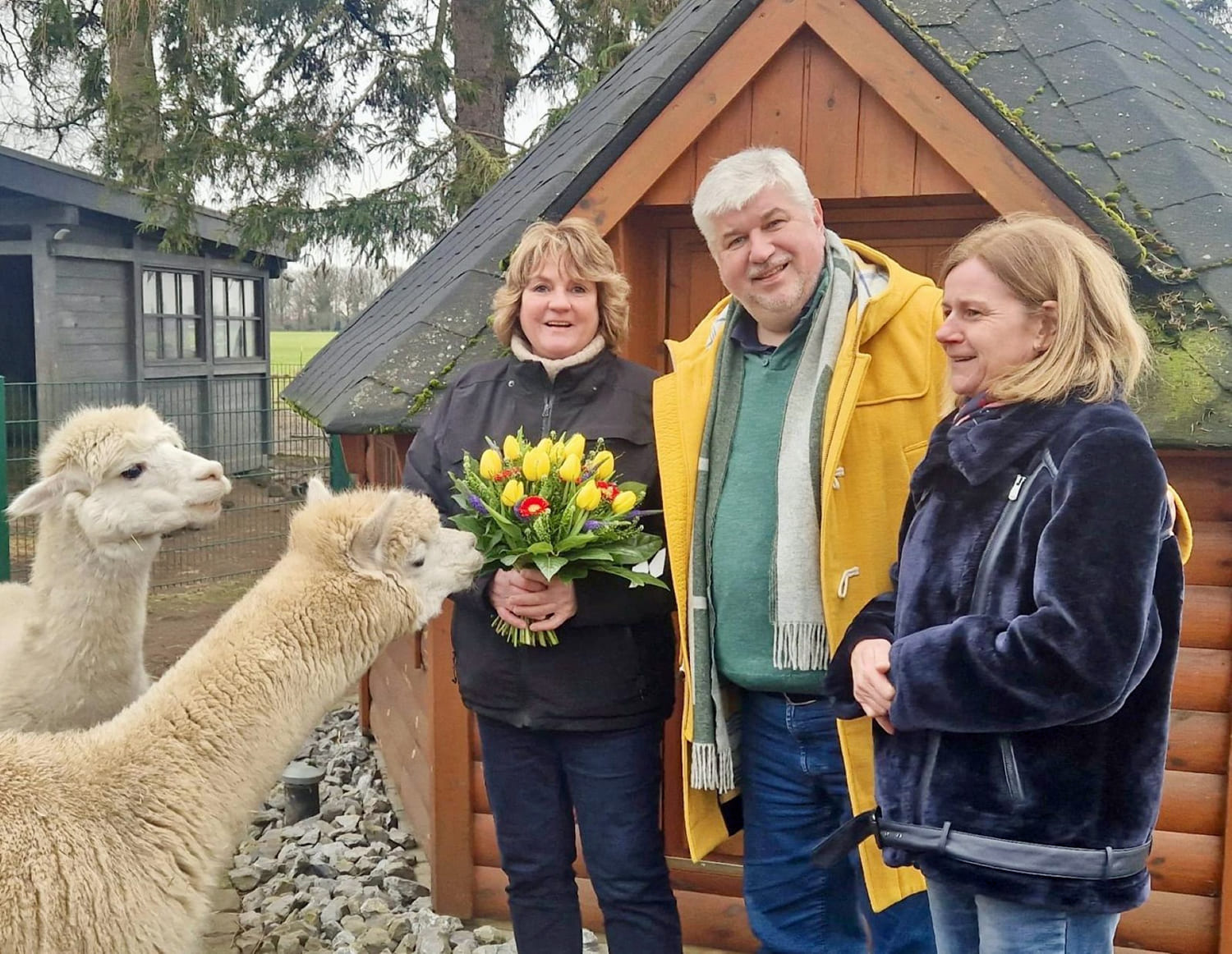 Mit Alpakas zur besseren Führung