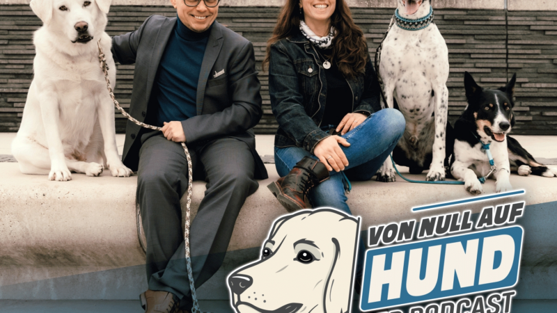 „VON NULL AUF HUND“: der Podcast rund um den Hund