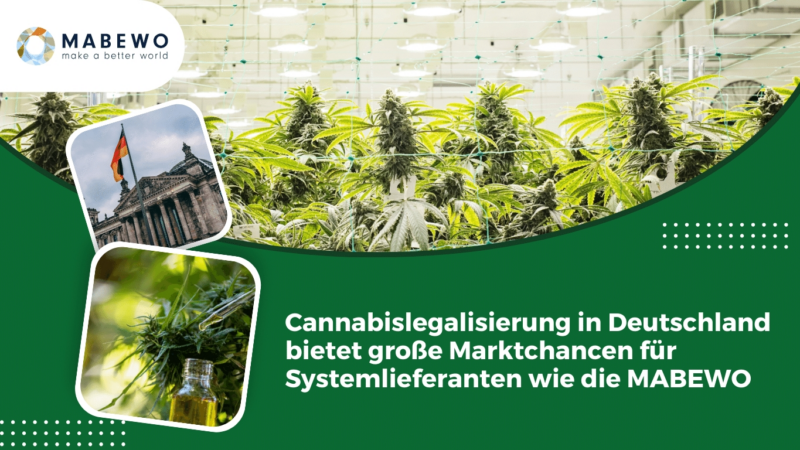 Cannabislegalisierung in Deutschland bietet große Marktchancen für Systemlieferanten wie die MABEWO – Social Clubs benötigen Anbautechnik