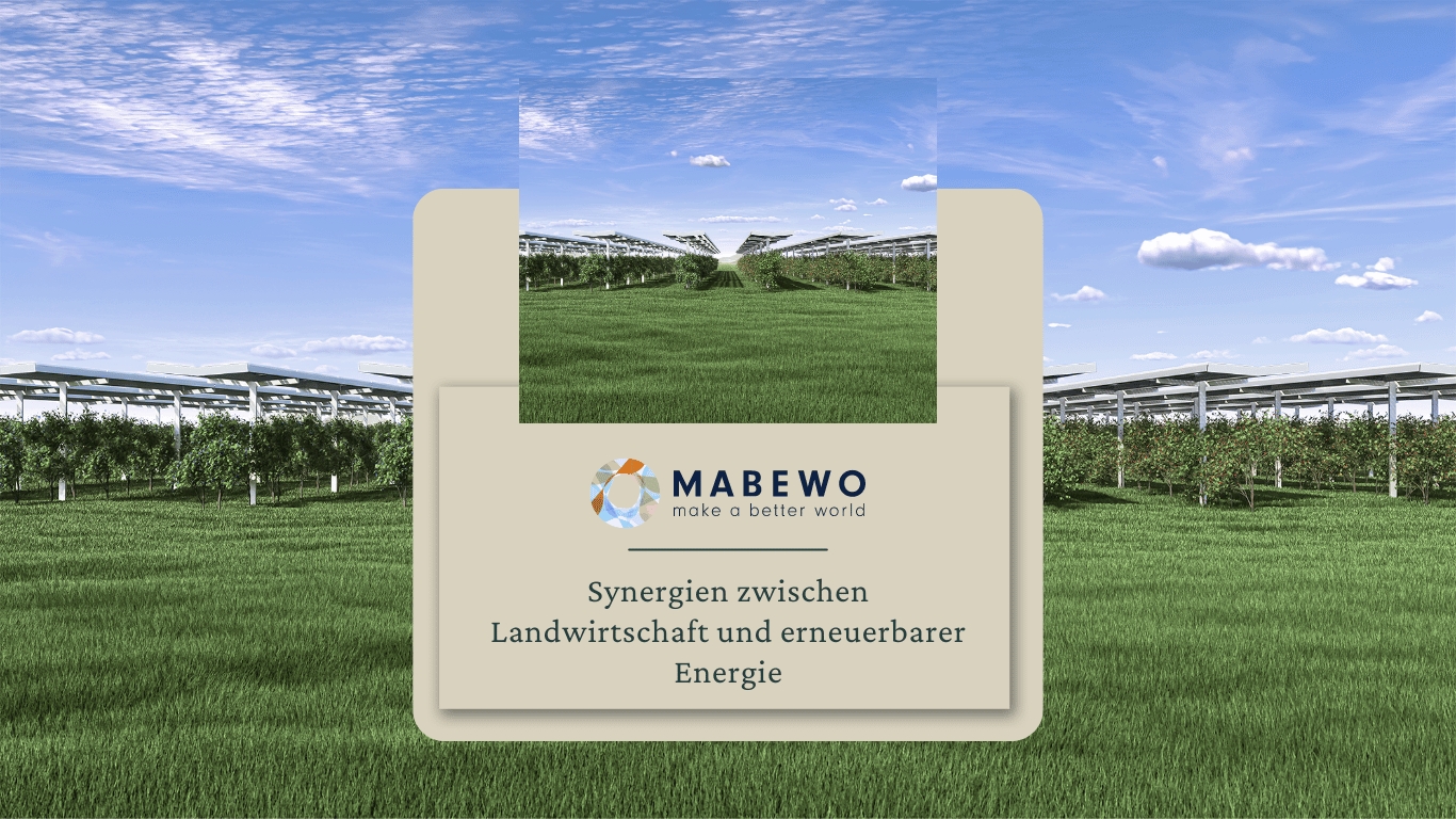 Synergien zwischen Landwirtschaft und erneuerbarer Energie