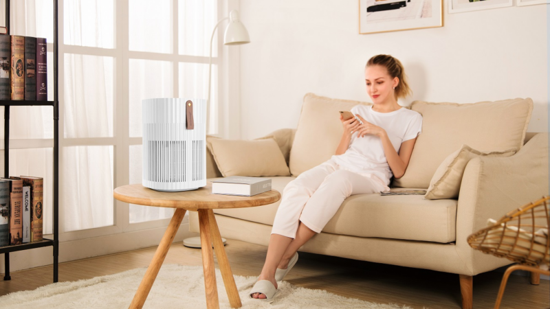 Gesundheit an erster Stelle: Wie die innovativen AIR Exchange Luftreiniger Allergikern in der Pollenzeit Erleichterung verschaffen können