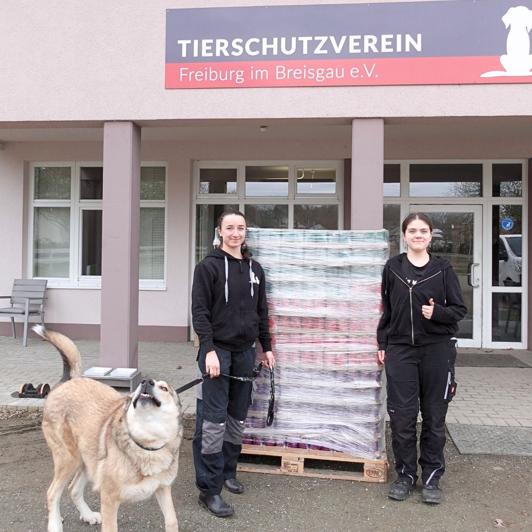 Tierheim Tierfutter liefert 1.850 Dosen kostenloses Futter