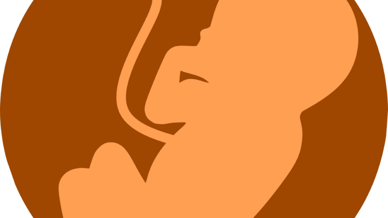 Einführung in die Ayurveda-Schwangerschaftsmassage