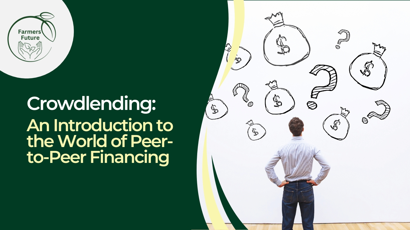 Crowdlending: An Introduction to the World of Peer-to-Peer Financing