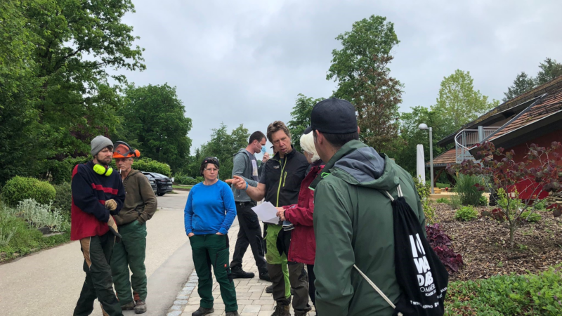 Würth Leasing Mitarbeitende engagieren sich beim Social Day für ein inklusives Naturprojekt