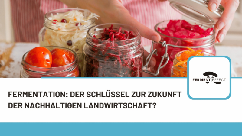 Fermentation: Der Schlüssel zur Zukunft der nachhaltigen Landwirtschaft?