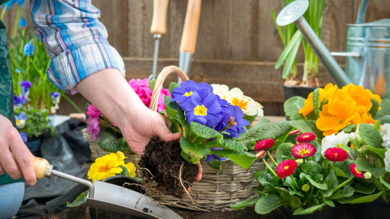 Maximilian Zieseniß: Mit Gartenarbeit vom Alltagsstress erholen