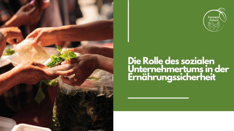 Die Rolle des sozialen Unternehmertums in der Ernährungssicherheit