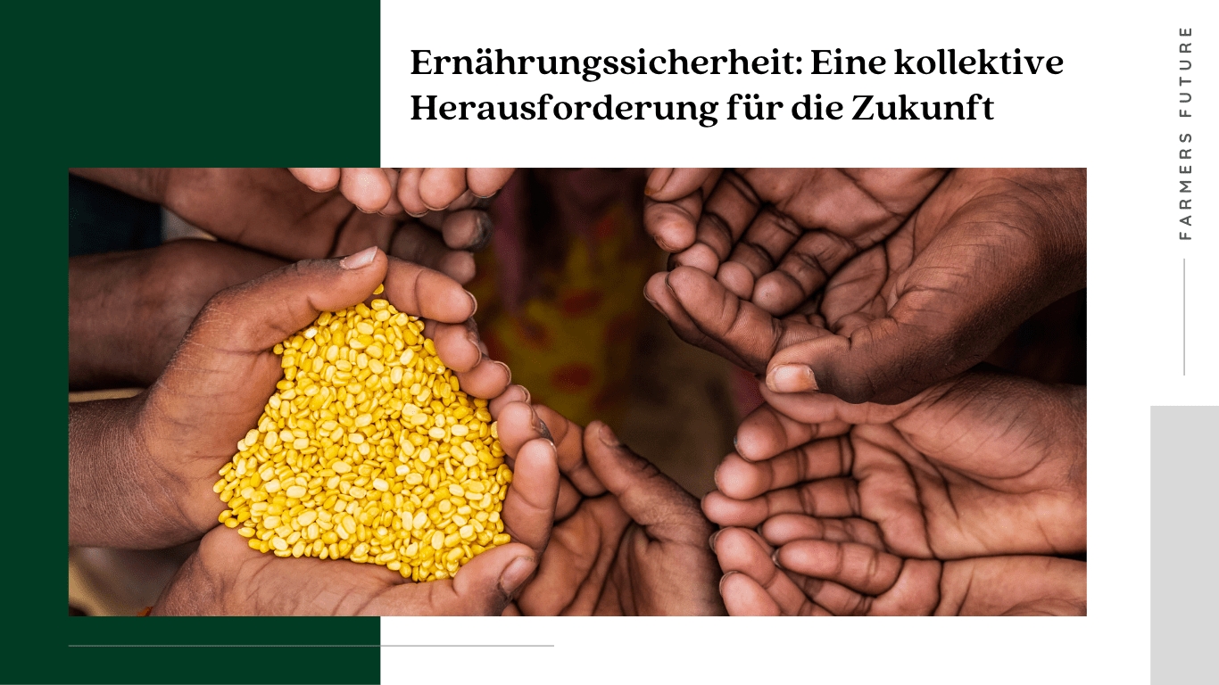 Ernährungssicherheit: Eine kollektive Herausforderung für die Zukunft