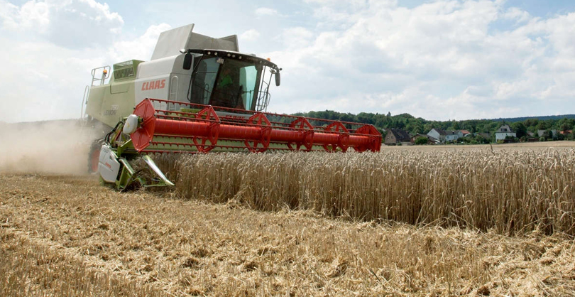 Regionale und deutschlandweite Ernteprognose der AGRAVIS