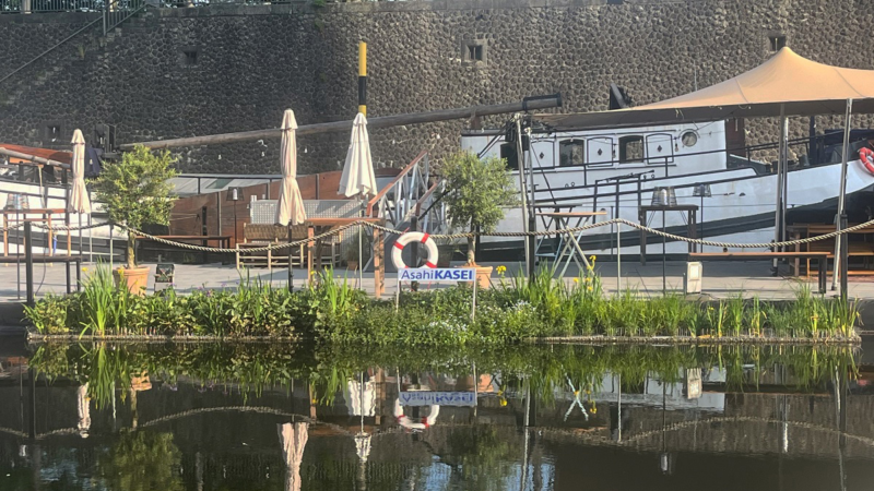 Blaualgenplage: Asahi Kasei Europe und Marina Düsseldorf starten Umwelt-Initiative im Düsseldorfer Hafen