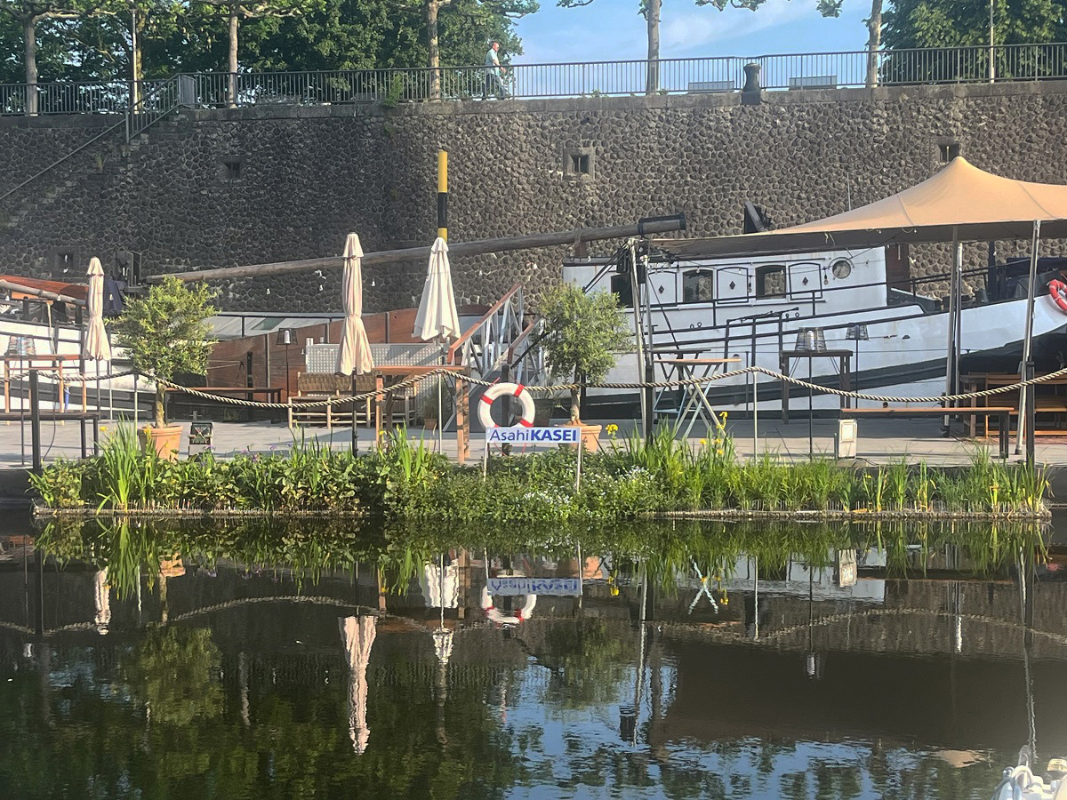 Blaualgenplage: Asahi Kasei Europe und Marina Düsseldorf starten Umwelt-Initiative im Düsseldorfer Hafen