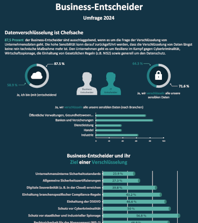 Die Herren der Verschlüsselung: Business-Entscheider