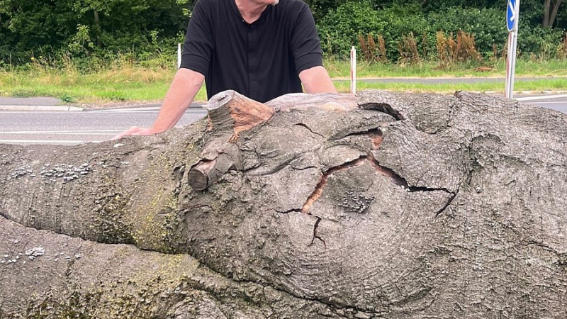 Kölner Künstler Bernd Reiter verwandelt gefällten Landmarken-Baum in Mahnmal