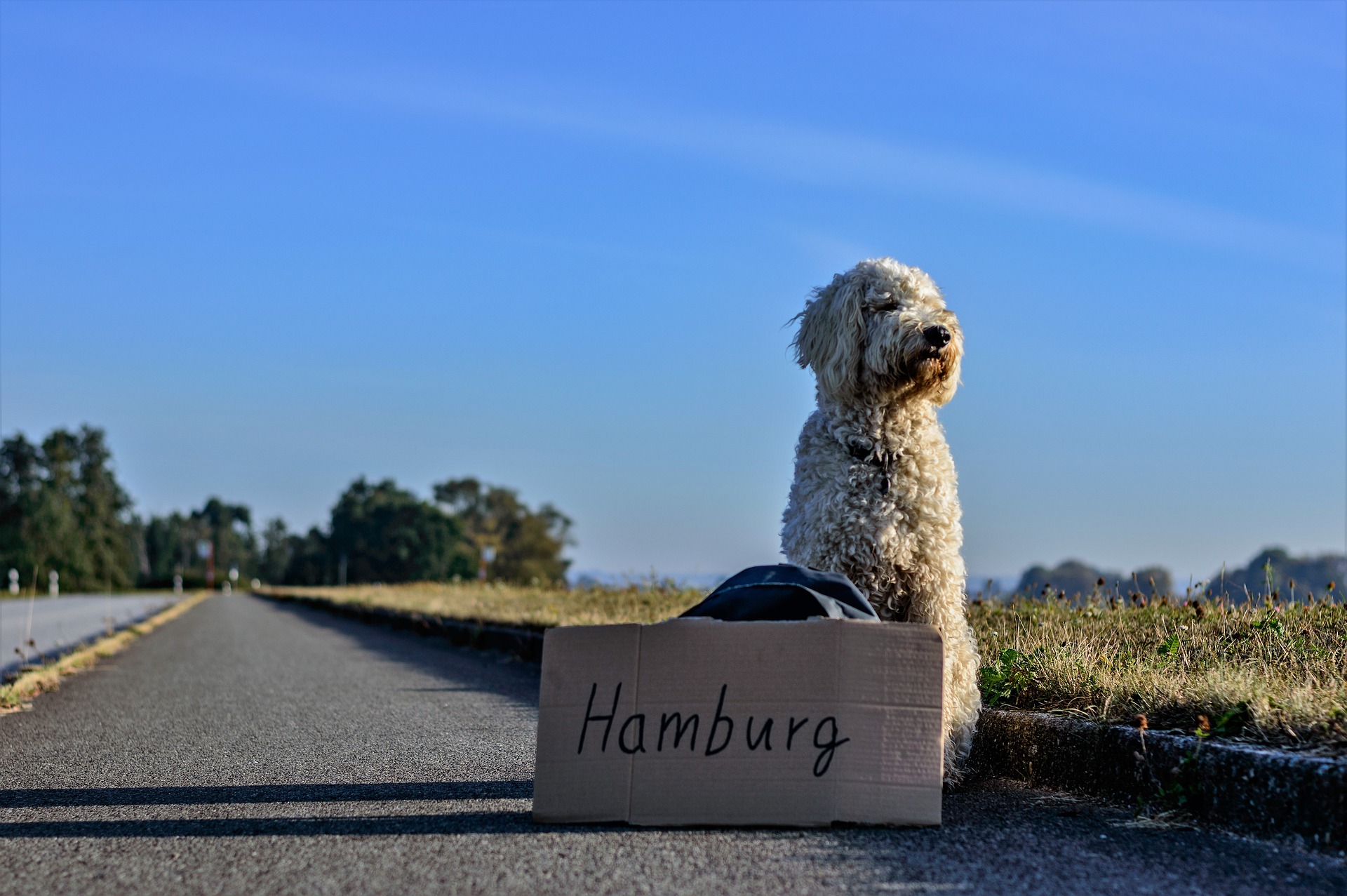 Hamburg-Domain: Nobel-Adressen als Schnäppchen