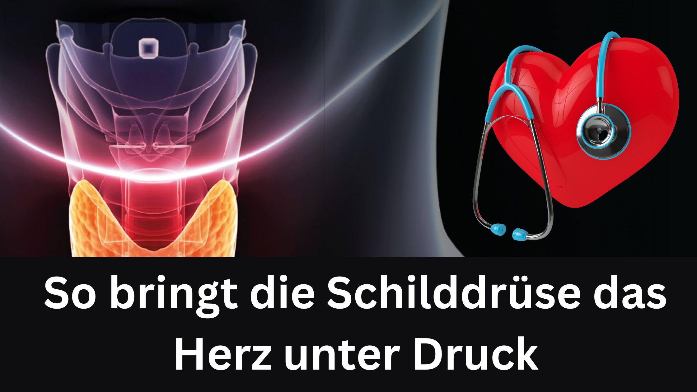 So bringt die Schilddrüse das Herz unter Druck